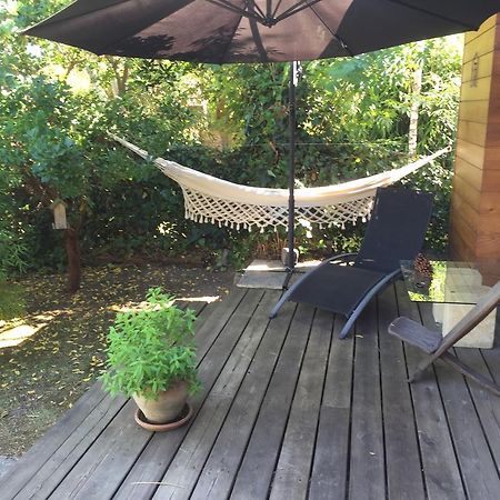 Chambre D'Hotes Du Clos Bamboo Merignac  Bagian luar foto